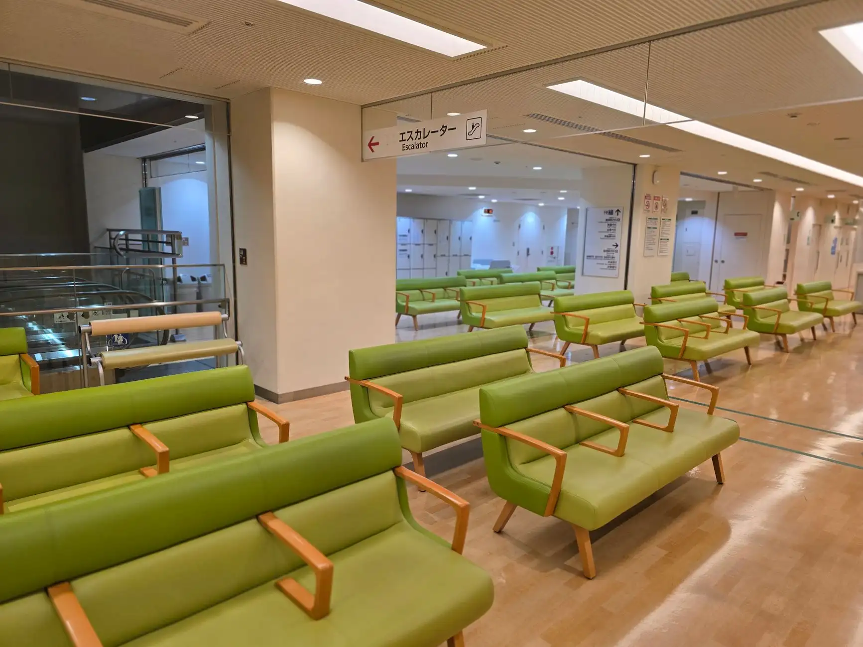 食养医学研究院槟多酚系列产品技术优势与临床营养应用解析