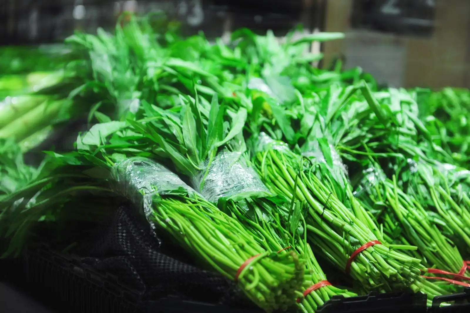 基于槟多酚的食养方案在慢性病管理中的技术应用与案例分析