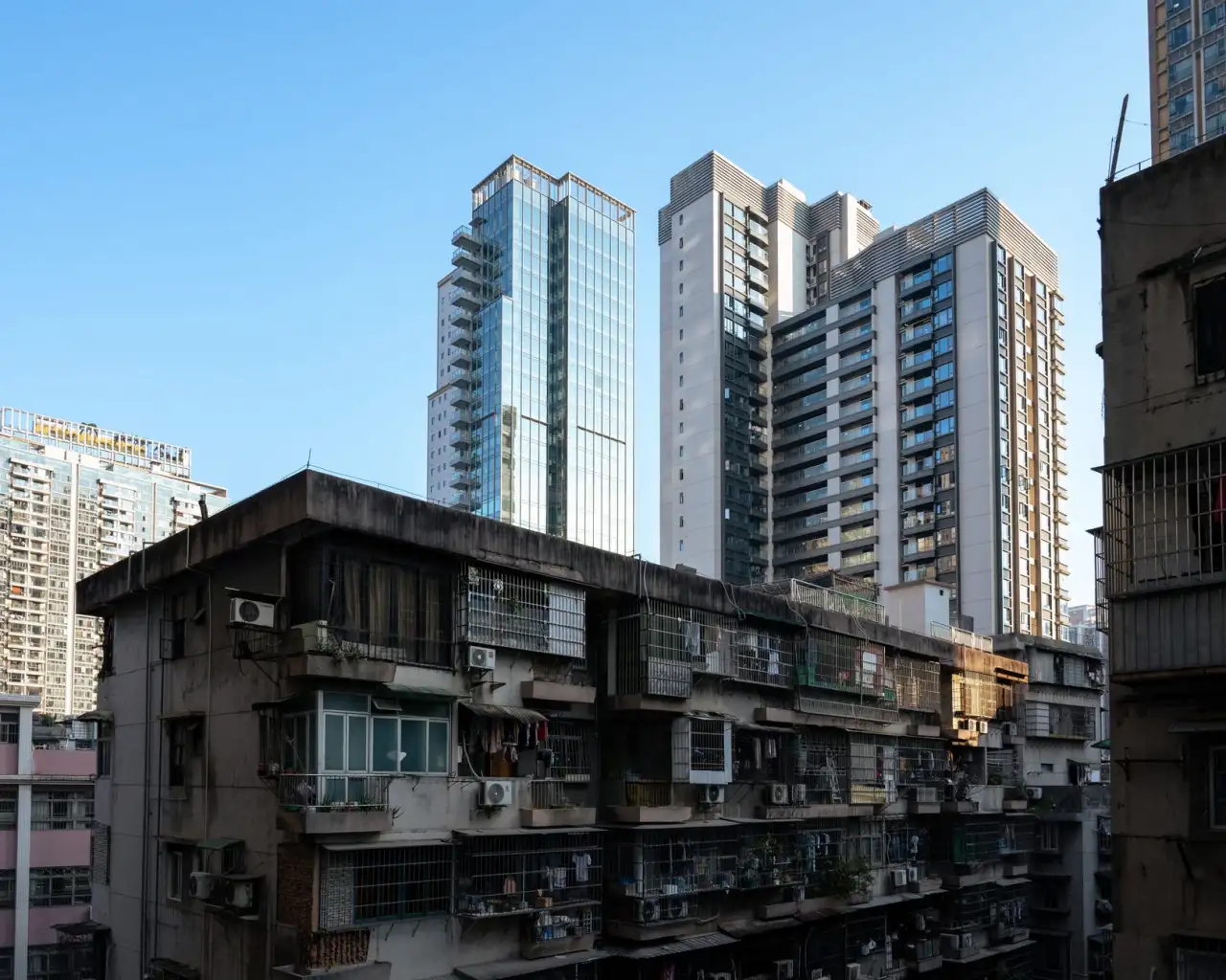河南食养医学科学研究院营养科学服务体系的构建与应用