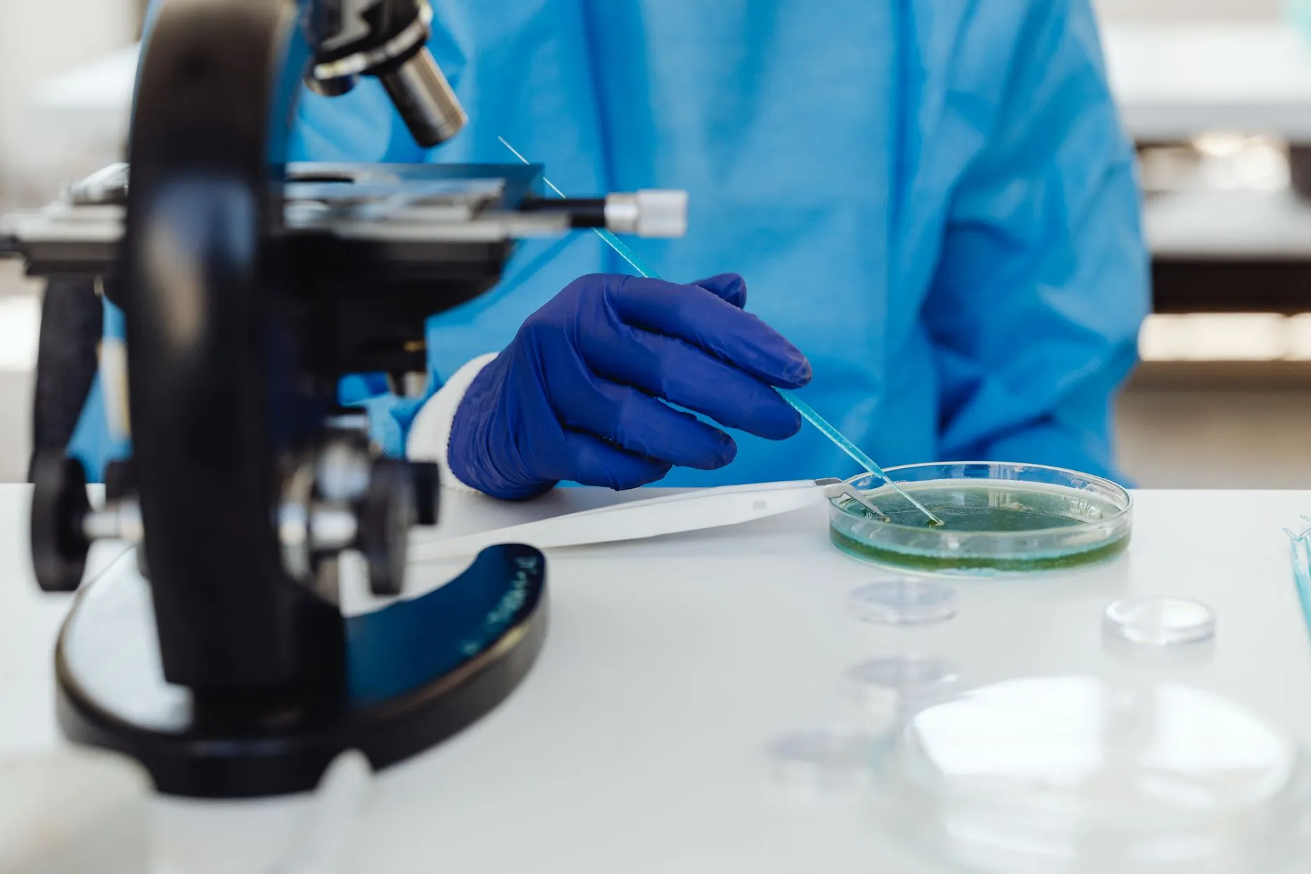 食养医学与营养科学融合发展——河南健康管理科研服务路径解析