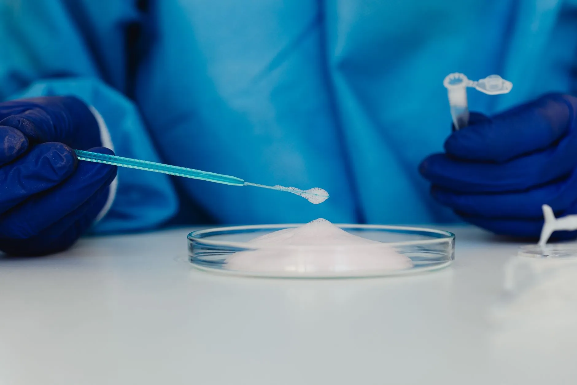 基于食养医学的健康管理方案设计要点与临床应用案例