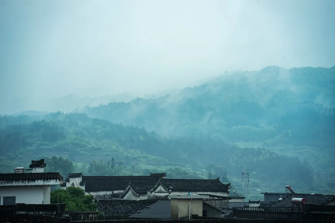 河南食养医学科学研究院营养科学服务的技术优势解析