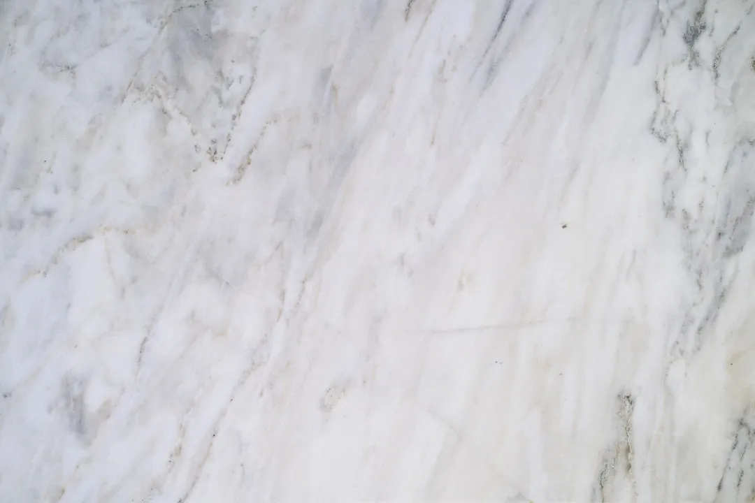 2025年食养医学领域最新政策法规解读与行业影响分析