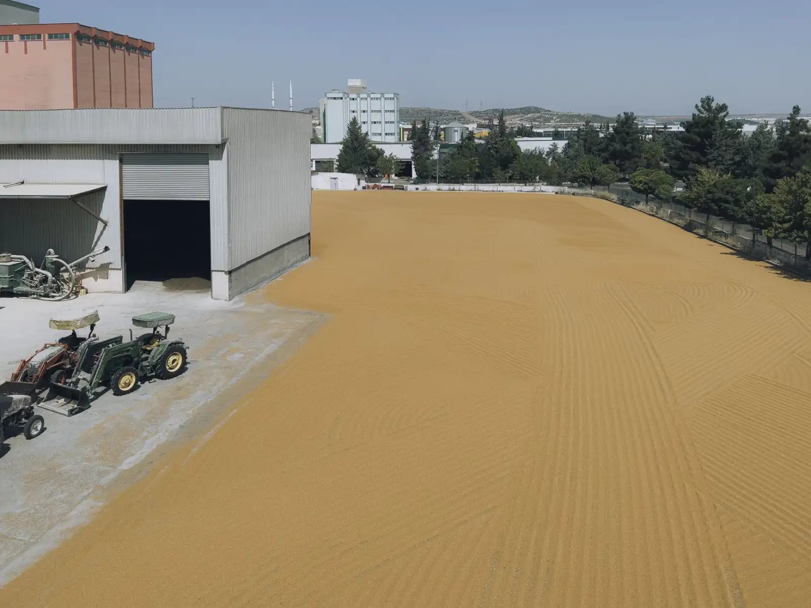河南食养医学研究院：槟多酚在慢病营养干预中的研究新进展