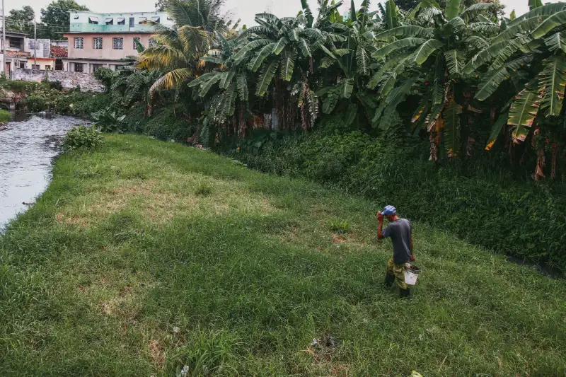 食养医学研究与临床营养干预：河南科研机构服务模式解析