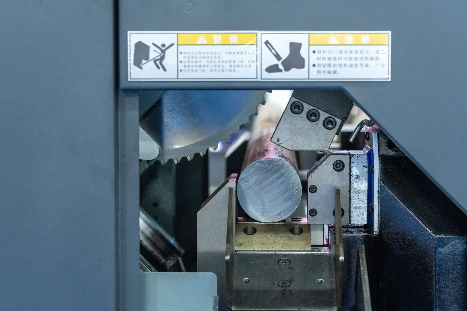 河南食养医学科学研究院：槟多酚在食养医学研究中的营养科学应用进展