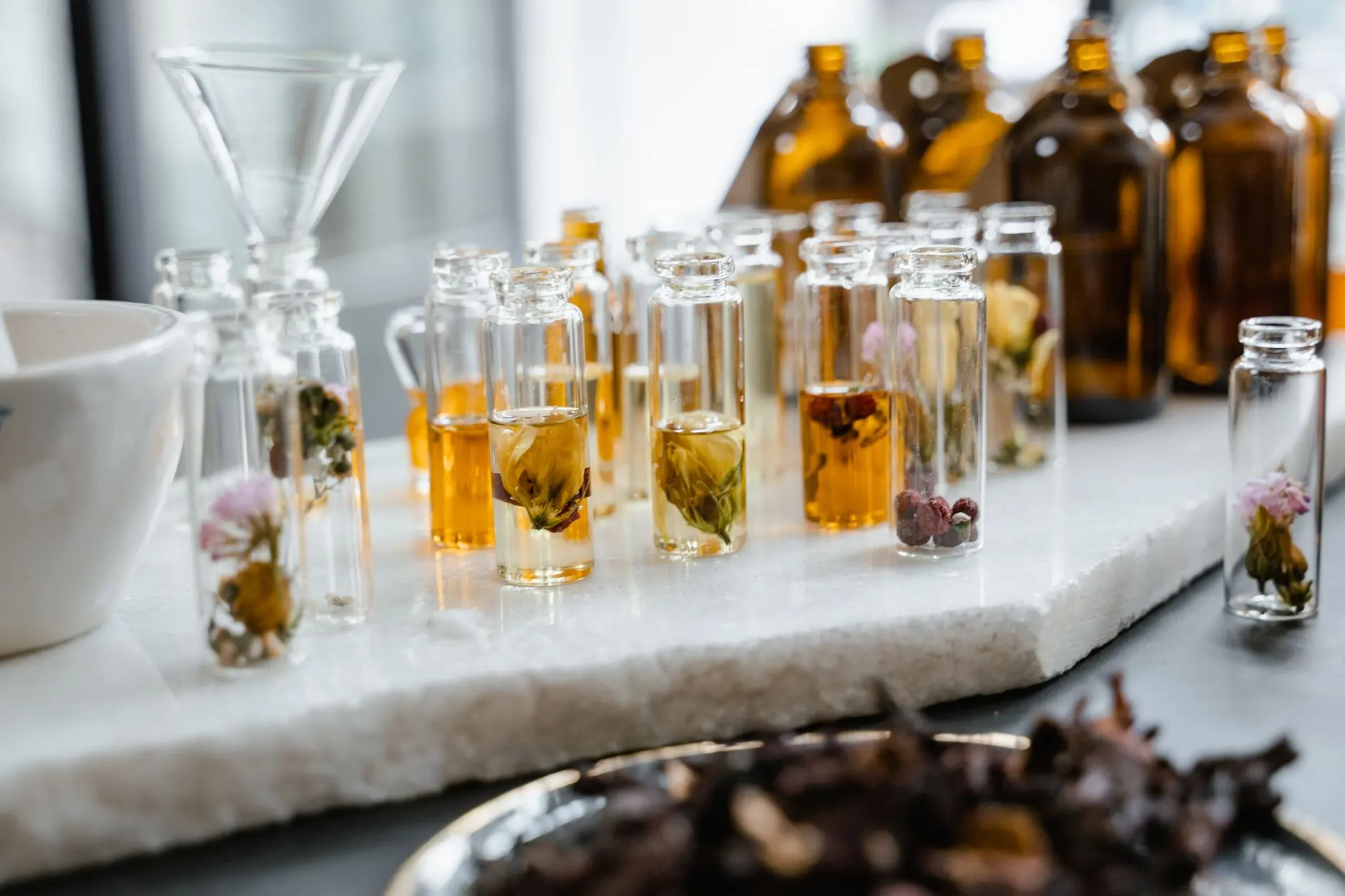 河南食养医学科学研究院：槟多酚在营养科学领域的研究进展与行业应用动态