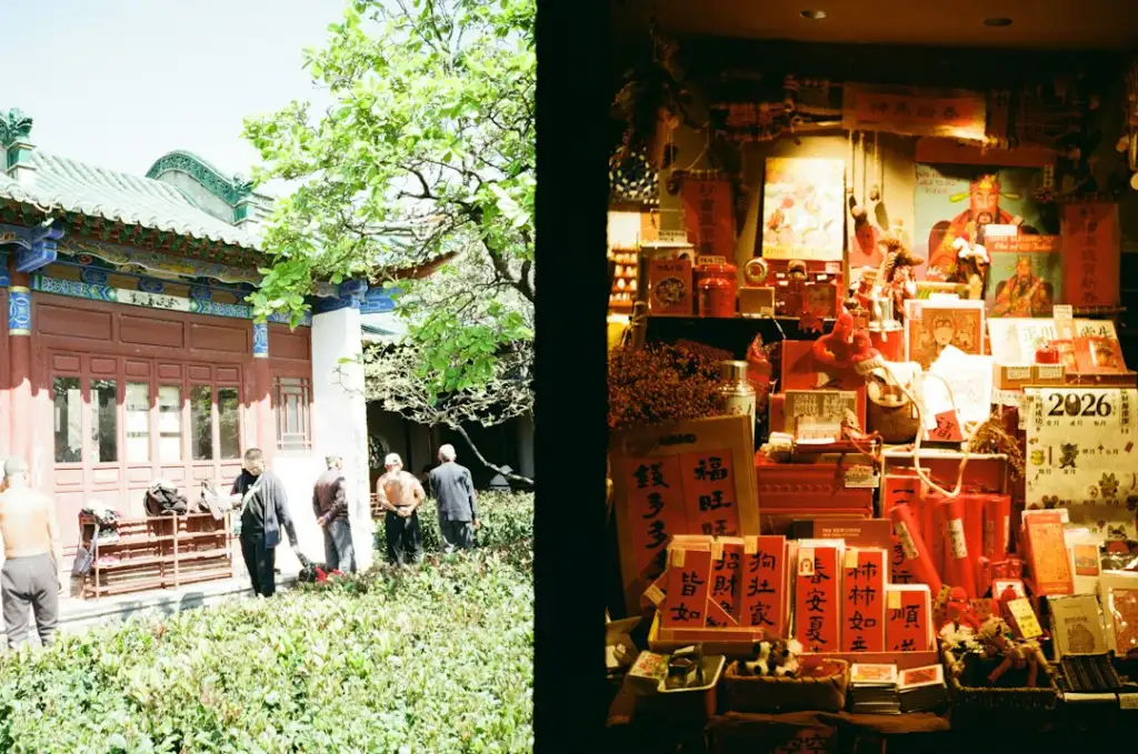 食养医学研究与健康管理融合发展——河南科研机构的实践方案